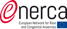 enerca 2014