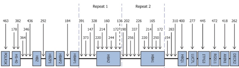 a-locus probes